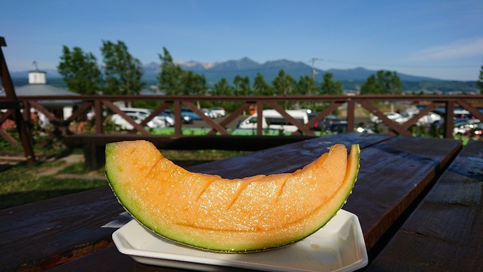 [마이재팬] 비에이 후라노 버스투어 / 넉넉한 체류시간 / 호텔런치로 여유있게 / 하차2곳