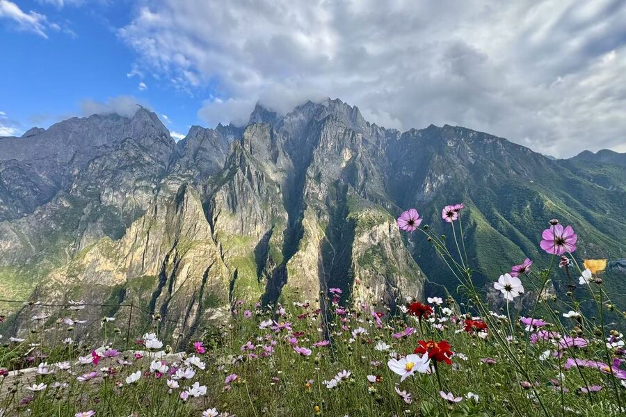 중국 리장 차마고도 & 호도협 데이투어