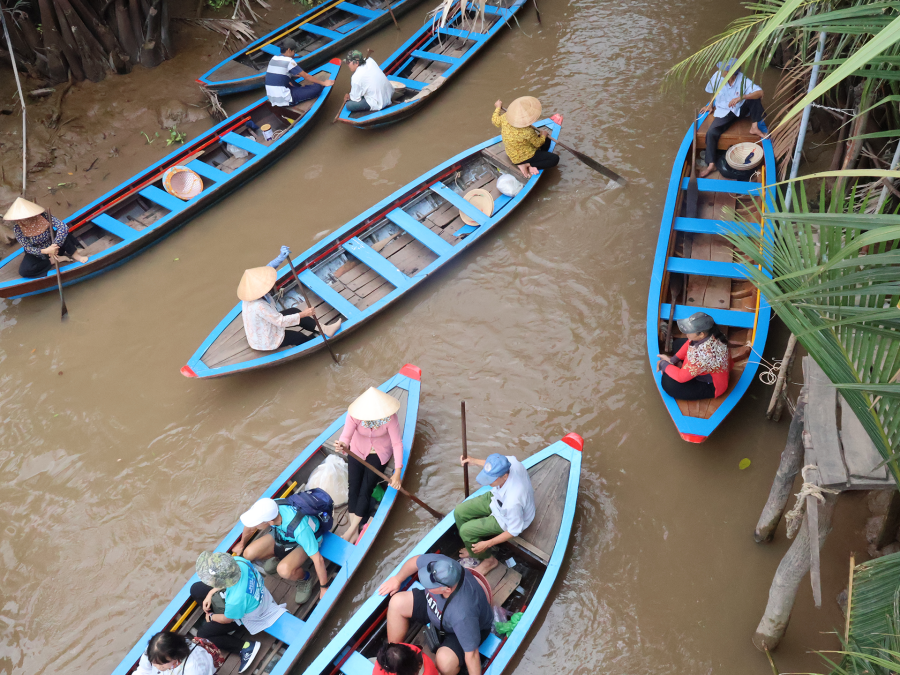 From Ho Chi Minh: Mekong Delta Private Day Tour