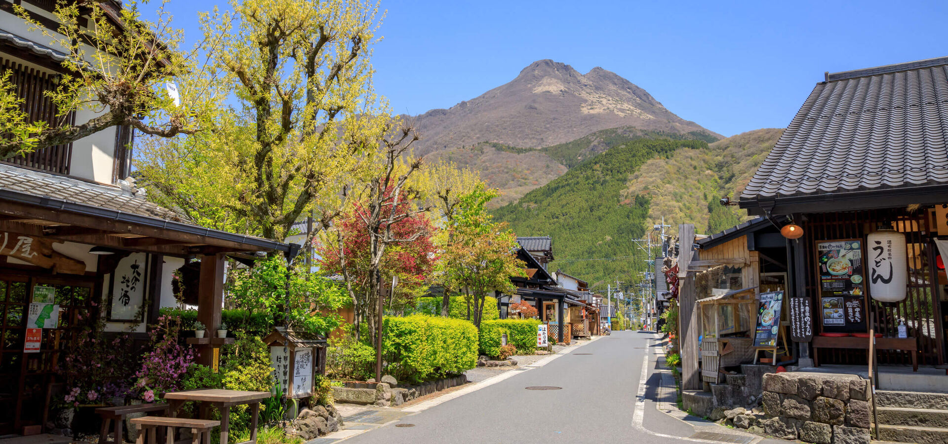 [독점할인] 후쿠오카 출발: 벳푸 사파리 프라이빗 단독 차량 일일투어