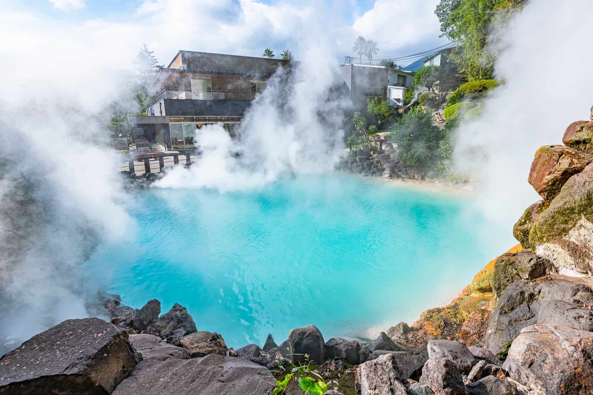 [독점할인] 후쿠오카 출발: 벳푸 사파리 프라이빗 단독 차량 일일투어