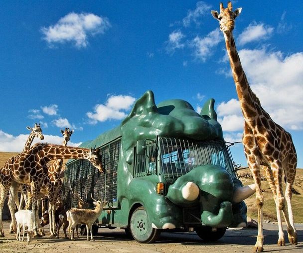 activity_detail_image