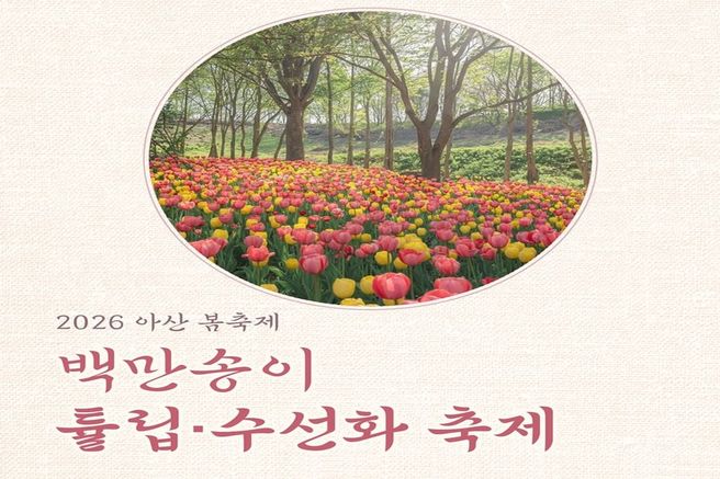 충남 아산 피나클랜드 백만송이 튤립&수선화 축제