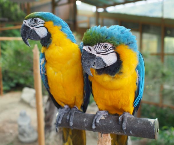 activity_detail_image