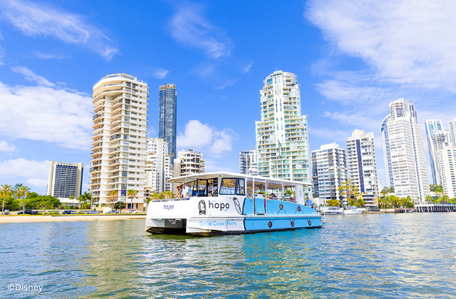 [결합할인] 골드코스트 웻 앤 와일드 워터파크 1일 입장권 + 왕복 호포 페리 탑승권