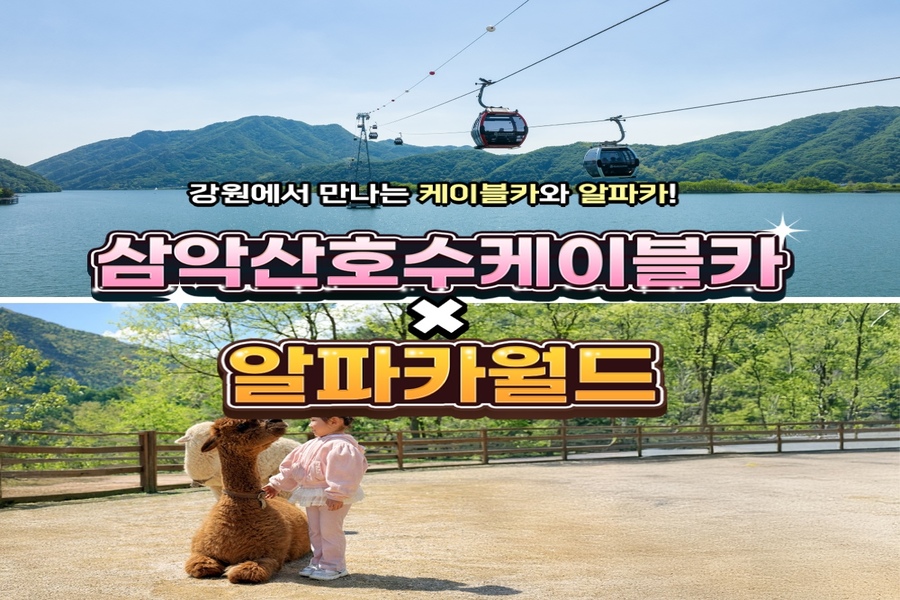 춘천 삼악산 케이블카 + 알파카월드 PKG
