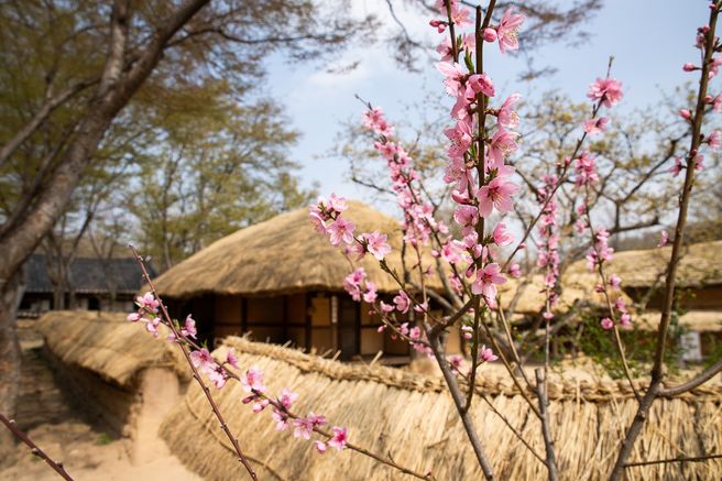 용인 한국민속촌 자유이용권