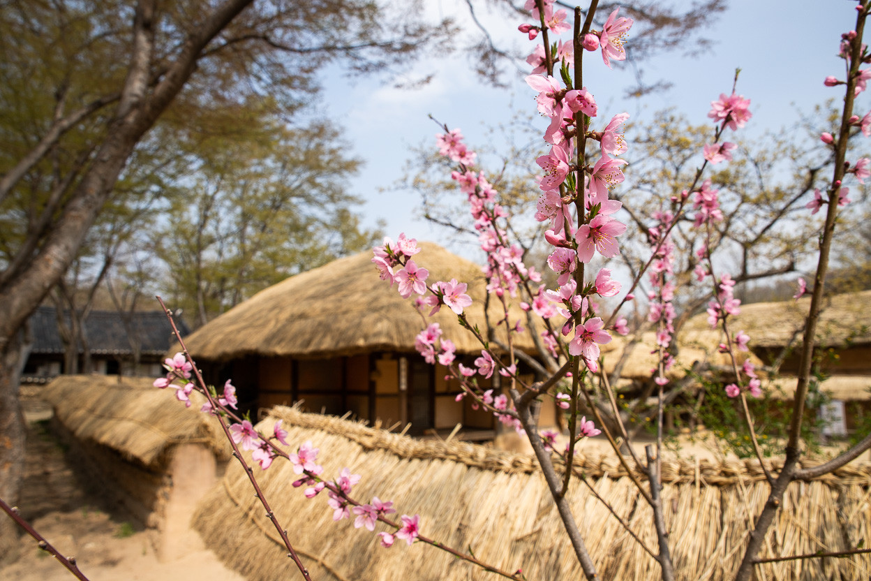 용인 한국민속촌 자유이용권