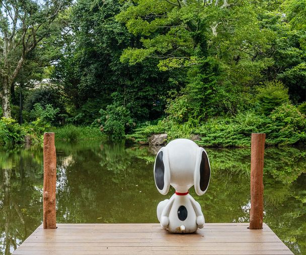 activity_detail_image