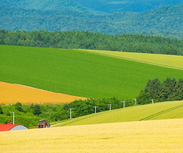 activity_detail_image