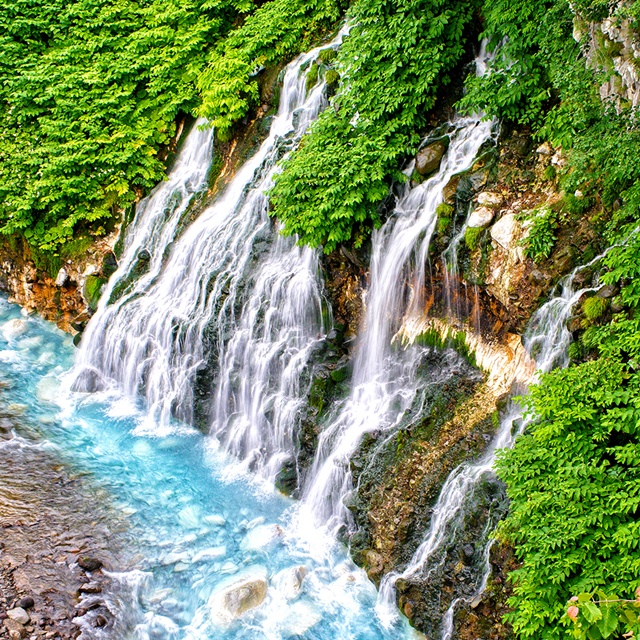 [독점할인] [아이트립] 삿포로 출발: 비에이 & 후라노 일일 투어 (패치워크 로드, 비에이역, 청의 호수, 흰 수염 폭포, 탁신관, 크리스마스 나무)