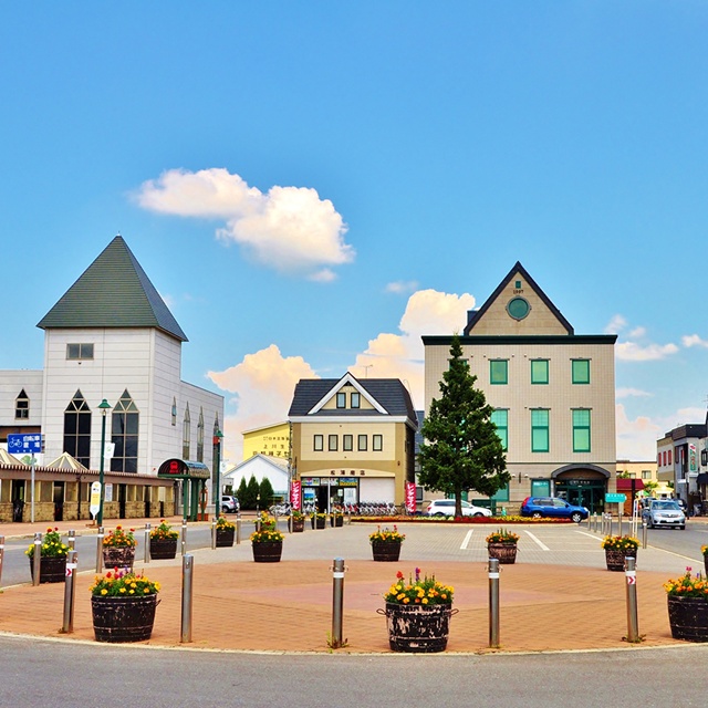 【外国人限定】【アイトリップ】札幌発：美瑛＆富良野日帰りツアー（パッチワークの路、美瑛駅、青い池、白ひげの滝、拓真館、クリスマスツリー）