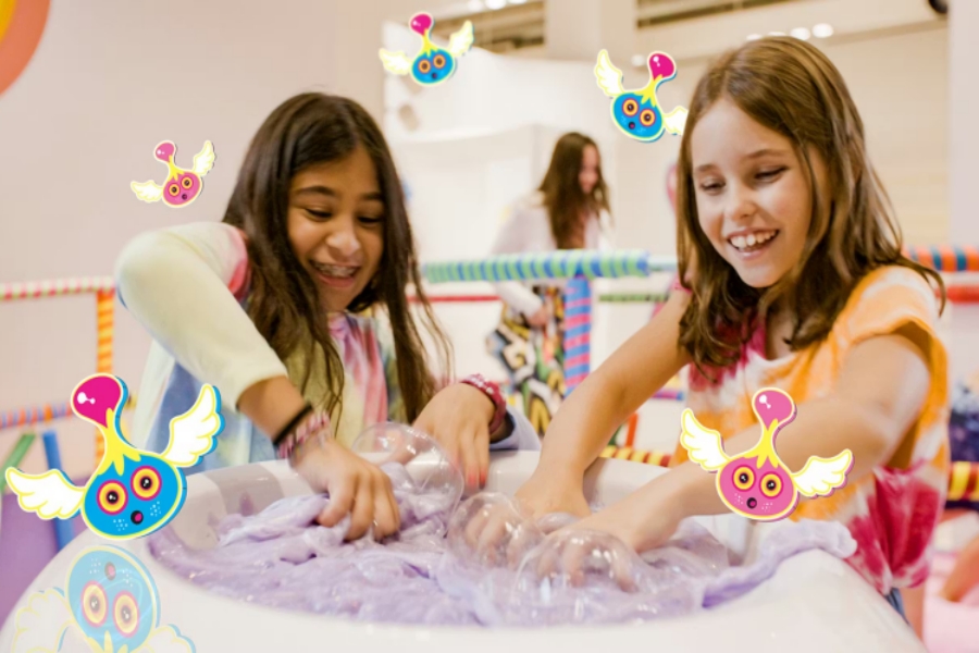 シカゴ スルームー インスティテュート 入場チケット