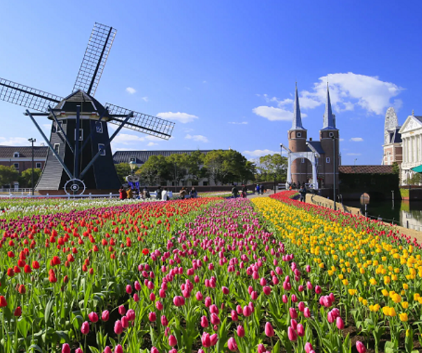 activity_detail_image