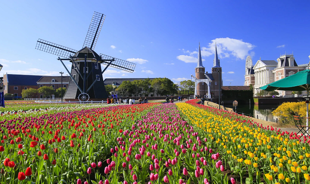 [얼리버드 특가] [3박4일] [6월23일 부산출발] 일본 히로시마 & 후쿠오카 2개 섬 이스턴 크루즈 여행
