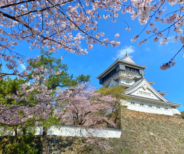 activity_detail_image