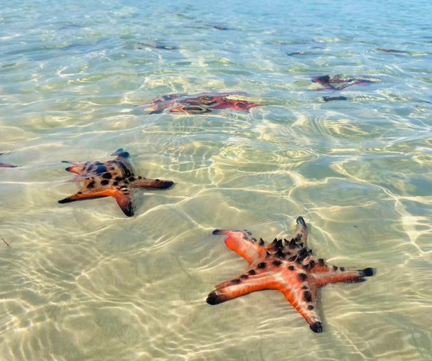 activity_detail_image