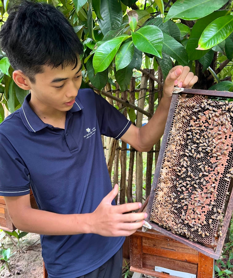 푸꾸옥 스타피쉬 비치 (불가사리 해변) 투어
