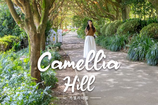 제주 카멜리아힐 입장권 + 3종 혜택