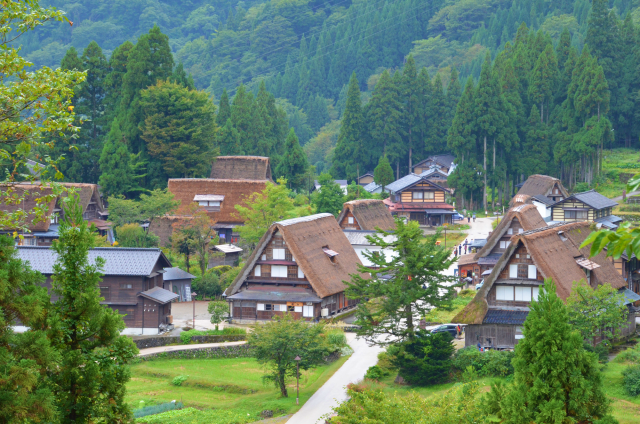 岐阜・白川郷線乗車券