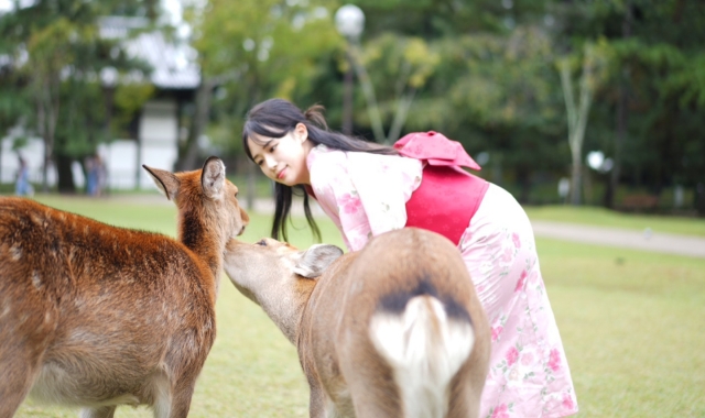 간사이 지역 유카타 렌탈 1일 (24시간)  호텔수령 및 반납가능 / 오사카, 오사카근교