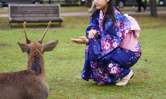 간사이 지역 유카타 렌탈 1일 (24시간)  호텔수령 및 반납가능 / 오사카, 오사카근교