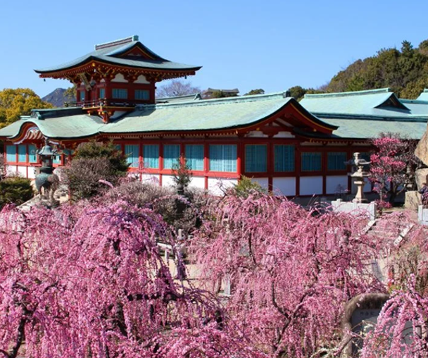 activity_detail_image