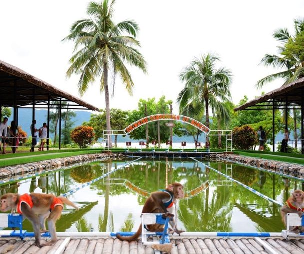 activity_detail_image