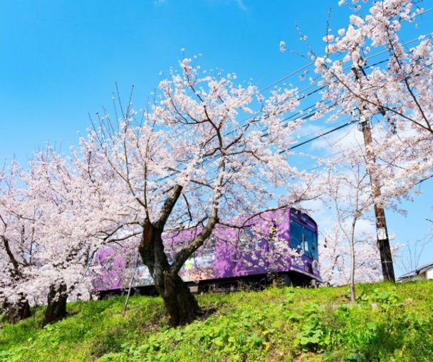 activity_detail_image