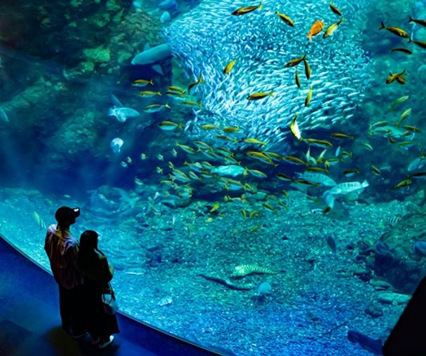 activity_detail_image