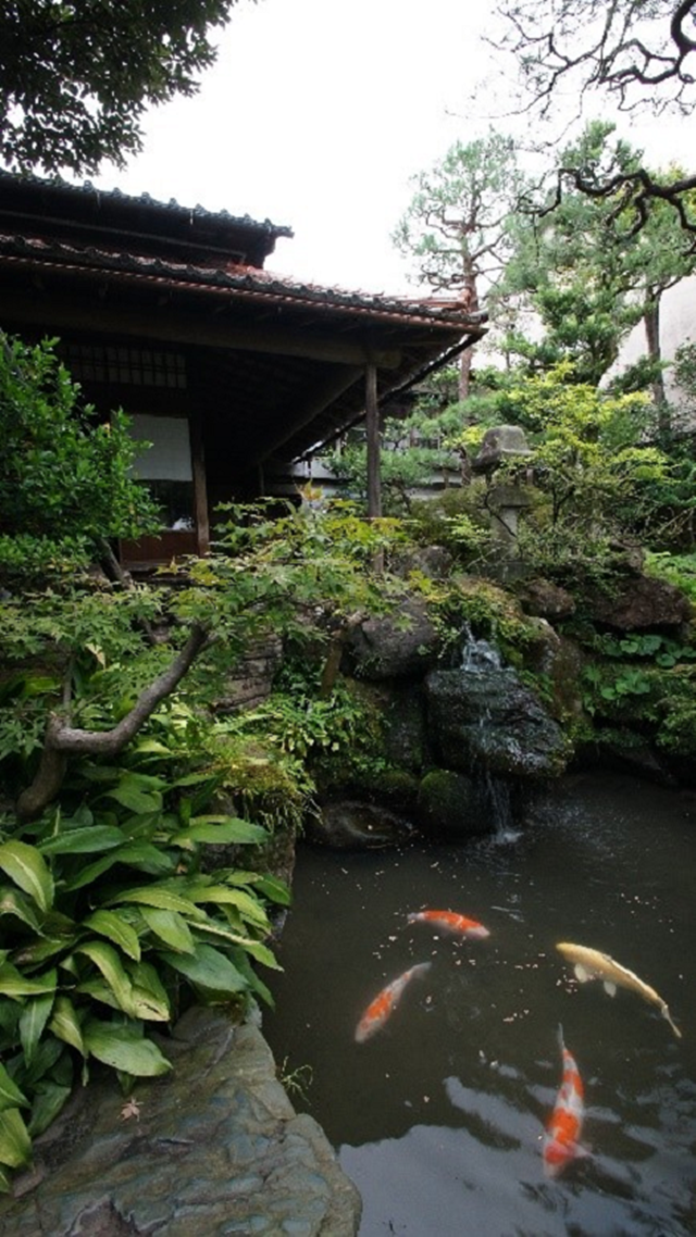 金沢 武家屋敷 野村家 入場券