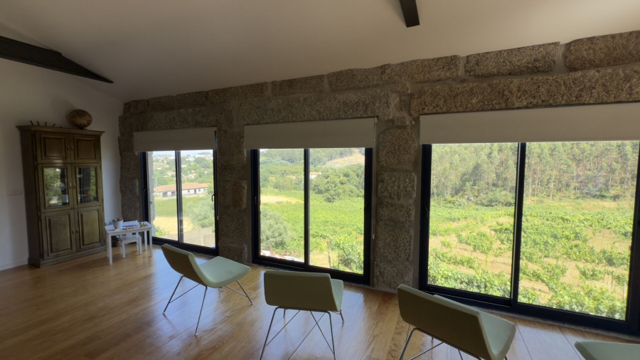 포르투 근교 그린와인 & 포트와인 와이너리 투어 (한국어 가이드 / 소규모)