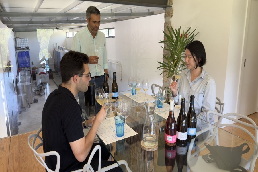 포르투 근교 그린와인 & 포트와인 와이너리 투어 (한국어 가이드 / 소규모)