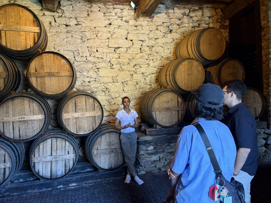 포르투 근교 그린와인 & 포트와인 와이너리 투어 (한국어 가이드 / 소규모)