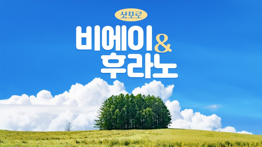 삿포로 출발: 여유로운 비에이 핵심 코스 하이라이트 일일 버스투어