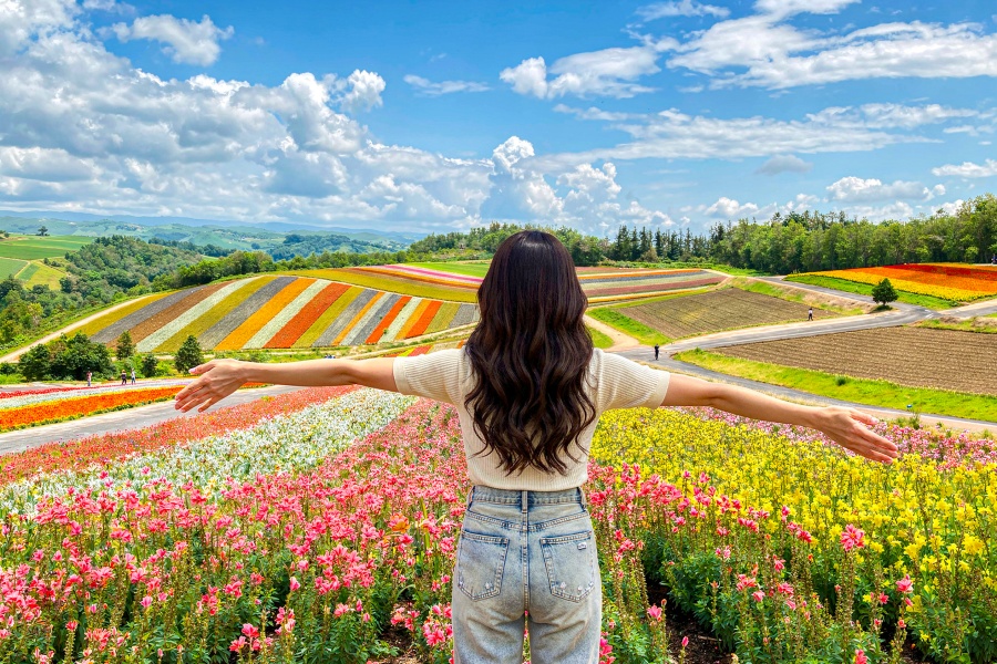 삿포로 출발: 여유로운 비에이 핵심 코스 하이라이트 일일 버스투어