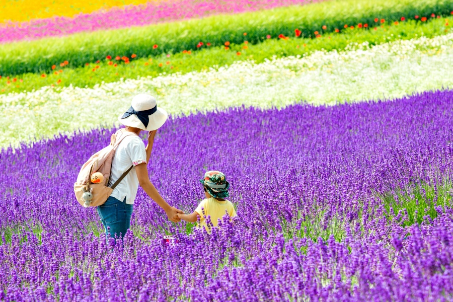 삿포로 출발: 여유로운 비에이 핵심 코스 하이라이트 일일 버스투어