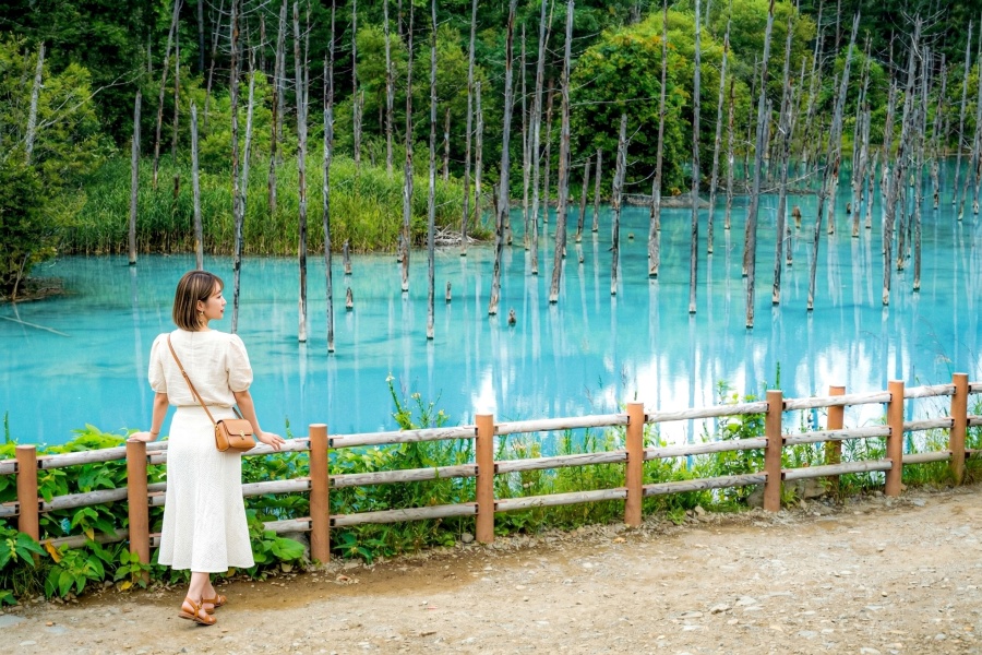삿포로 출발: 여유로운 비에이 핵심 코스 하이라이트 일일 버스투어