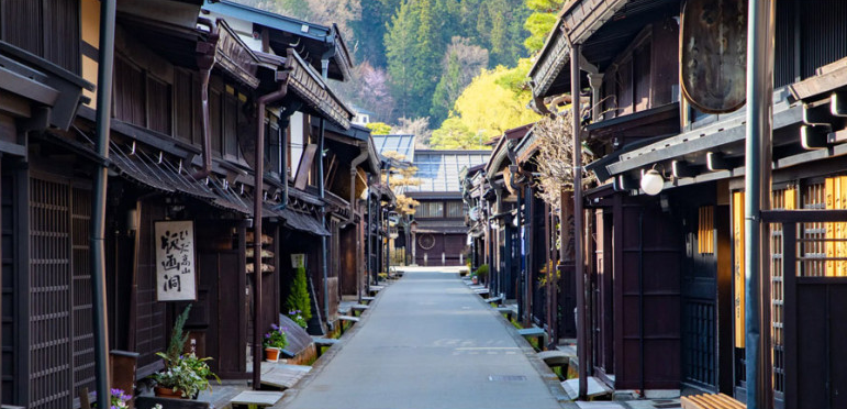 [테라투어] 나고야 출발: 다카야마&시라카와고 버스 일일투어