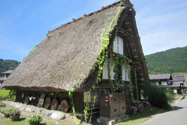 [테라투어] 나고야 출발: 다카야마&시라카와고 버스 일일투어