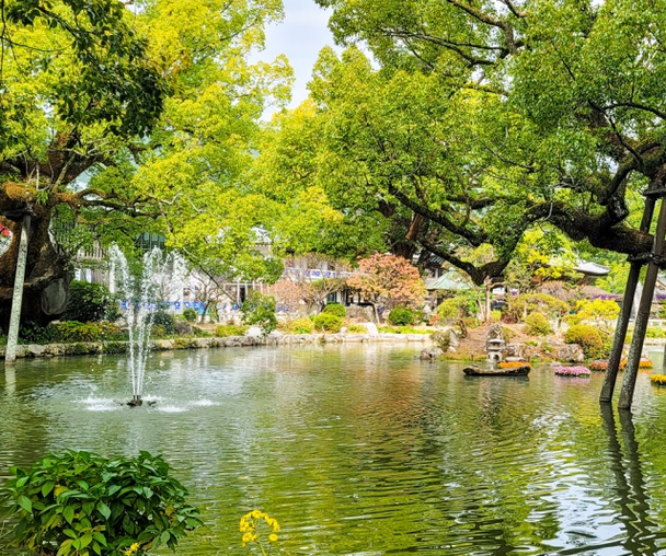 activity_detail_image