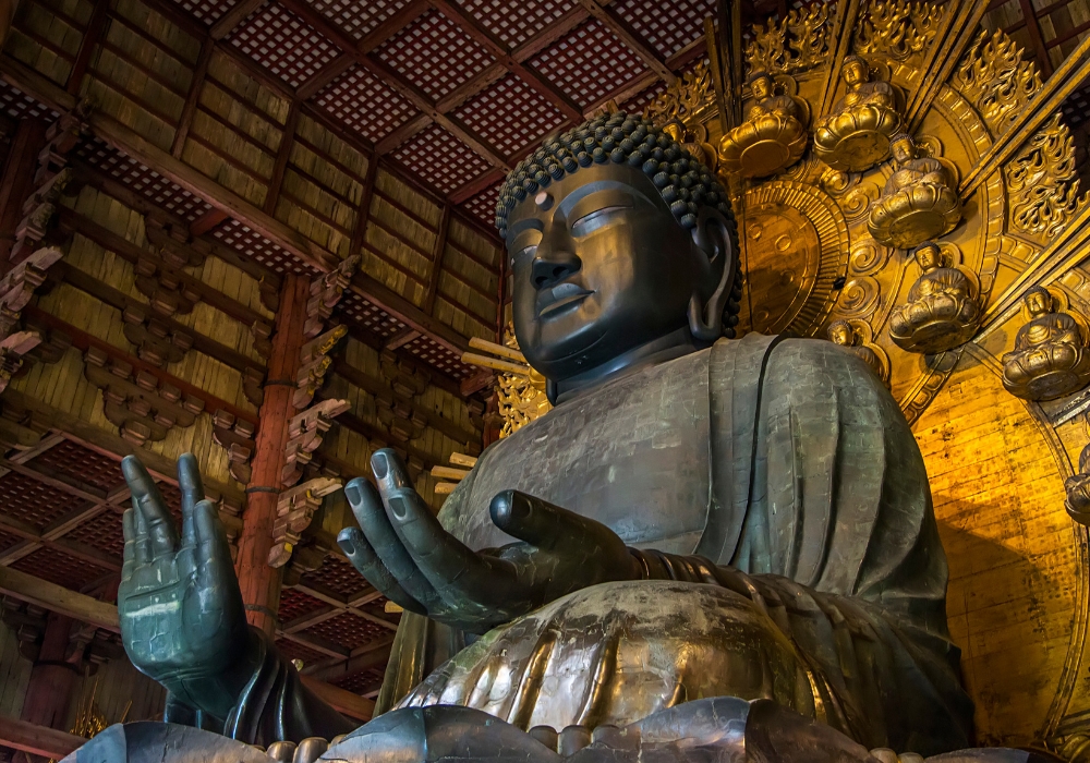 나라 & 오사카 프라이빗 차량 일일 투어 (픽업 & 샌딩 + 무료 스냅사진 촬영 포함)