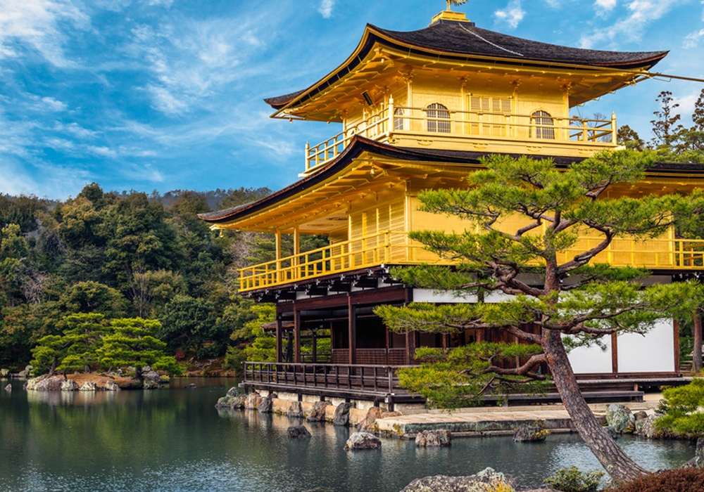 교토 프라이빗 차량 일일 투어 (픽업 & 샌딩 + 무료 스냅사진 촬영 포함)