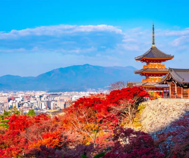 activity_detail_image