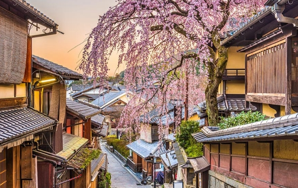 [여행한그릇] 오사카 출발: 교토 아라시야마, 청수사 버스 투어, 그리고 무료 사진 촬영