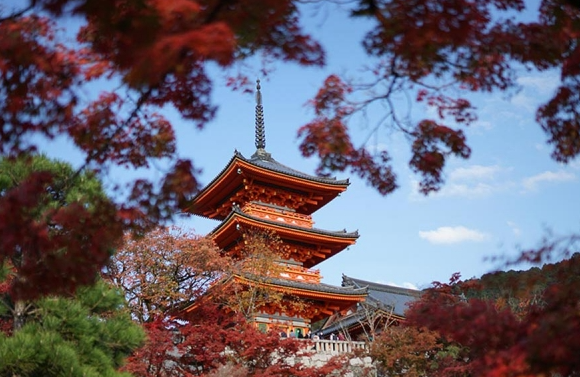 [여행한그릇] 오사카 출발: 교토 아라시야마, 청수사 버스 투어, 그리고 무료 사진 촬영