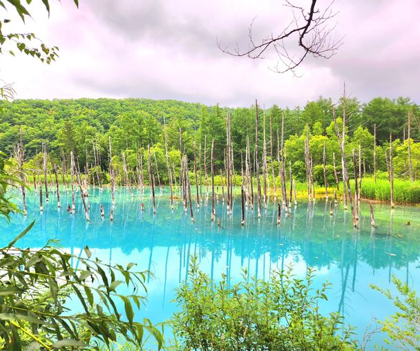 activity_detail_image