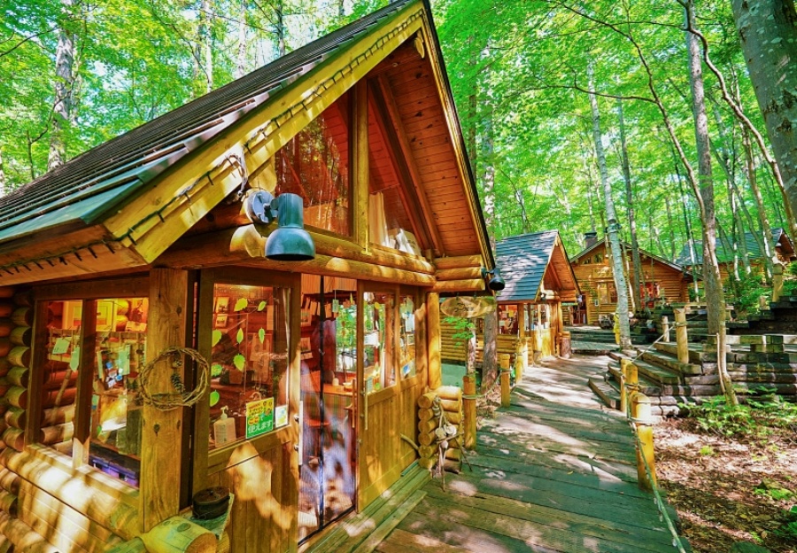 [라쿠투어] [닝구르방문/준페이매장식사] 북해도 삿포로 비에이 후라노 버스투어