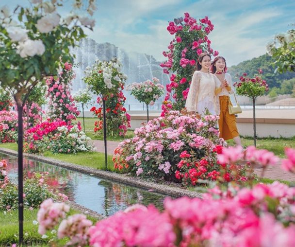 activity_detail_image