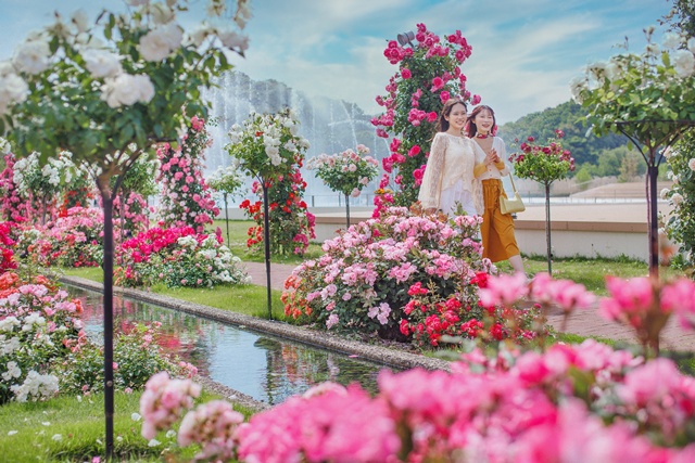 후쿠오카 나가사키 하우스텐보스 입장권 (종일 티켓, 애프터 3 티켓)